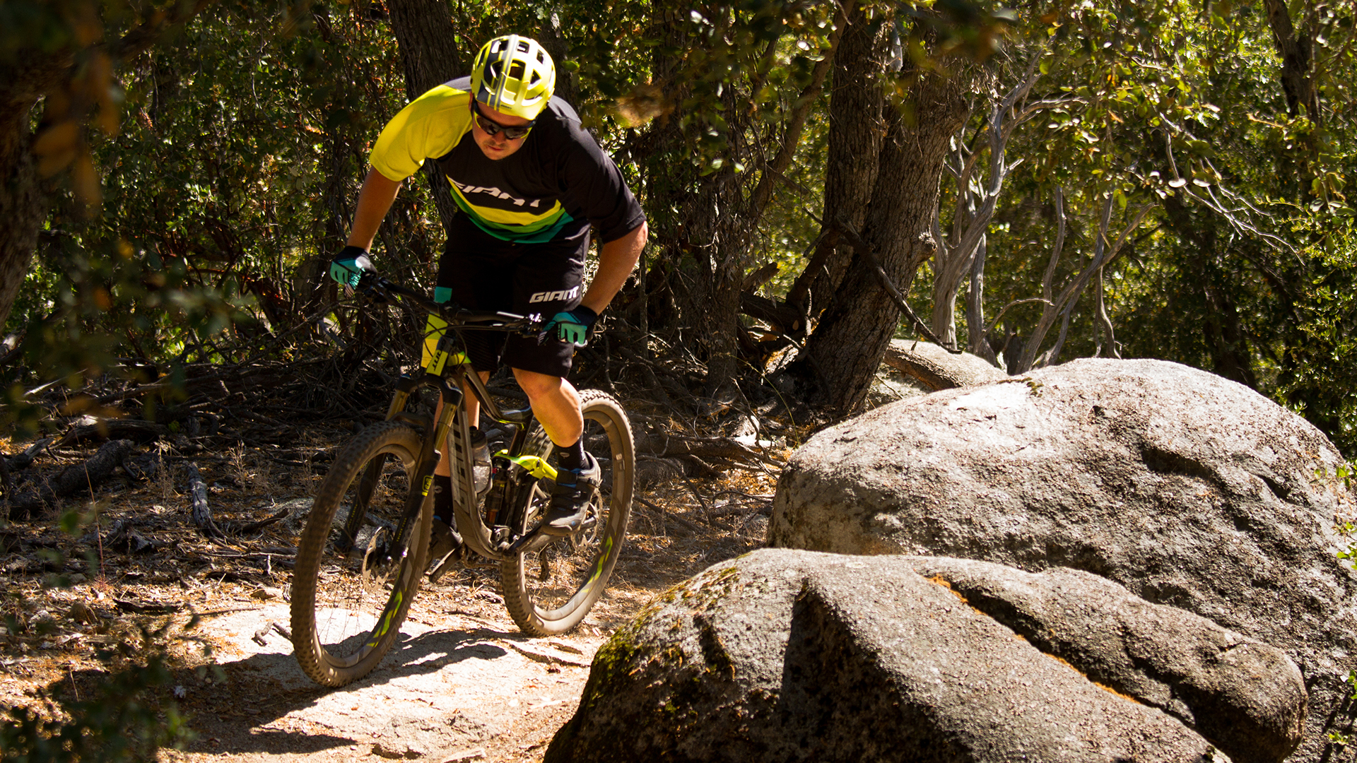2016 Giant Bicycles, trance advanced 1