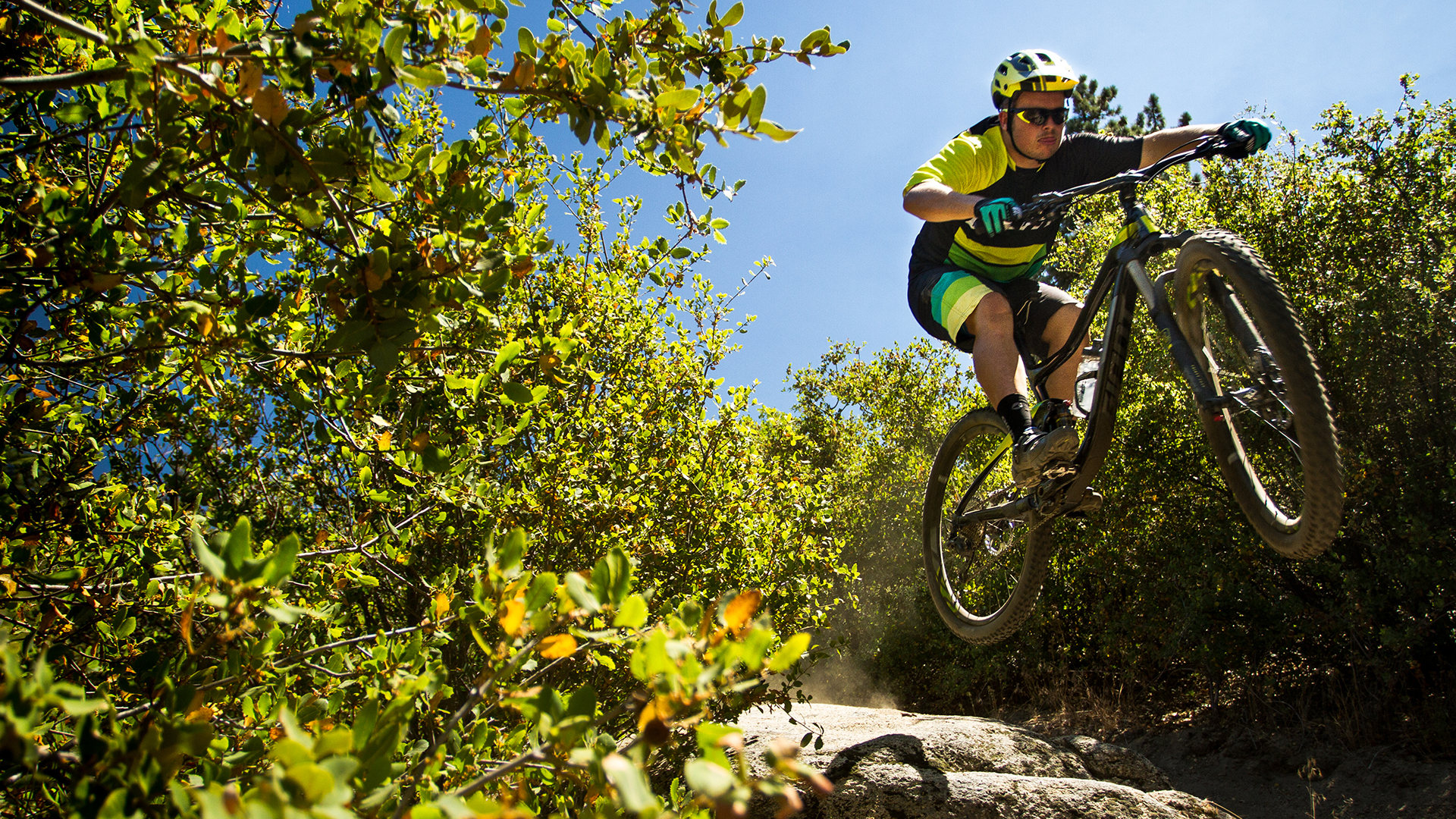 2016 Giant Bicycles, trance advanced 1
