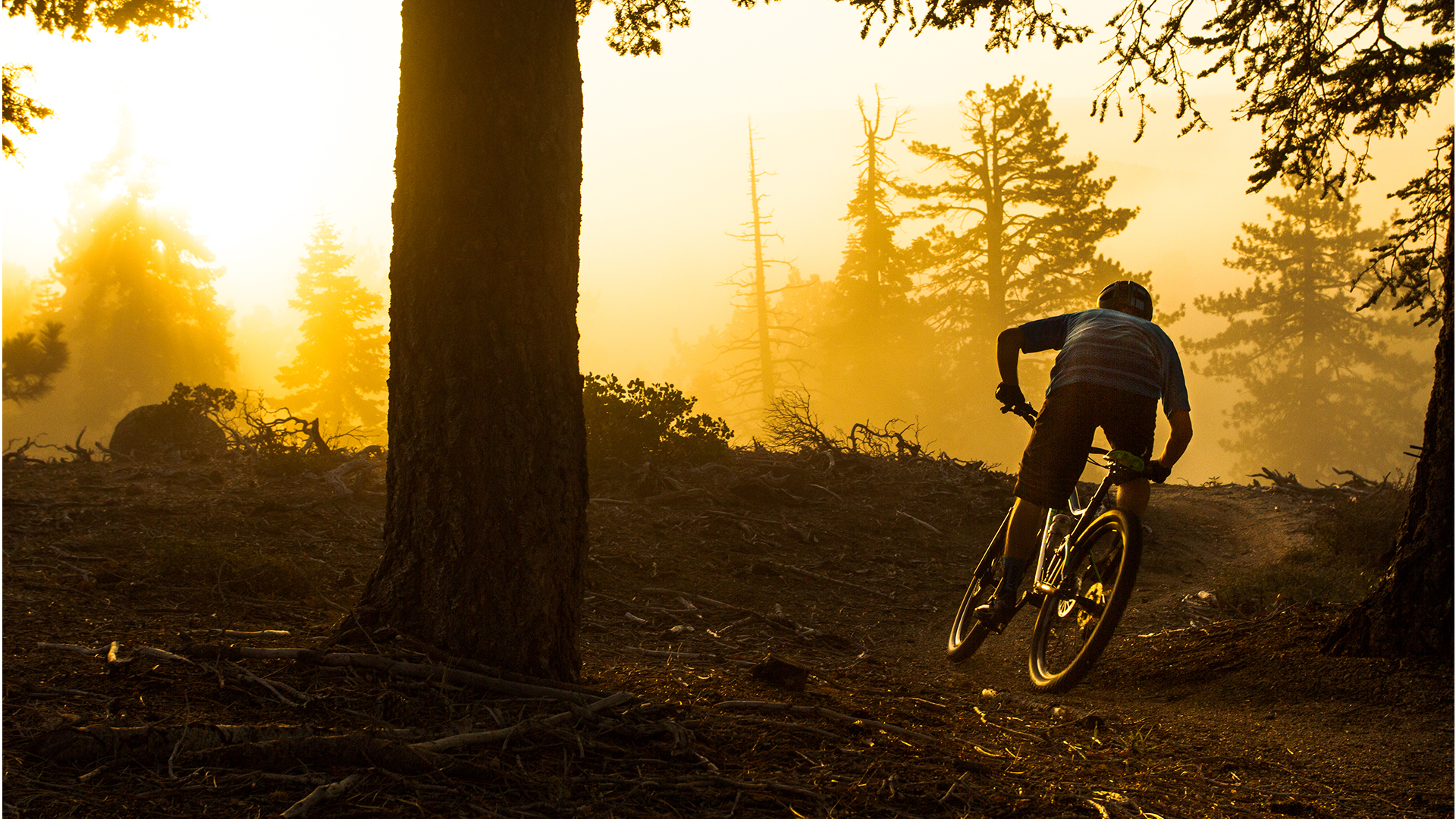 2016 Giant Bicycles, stance adv