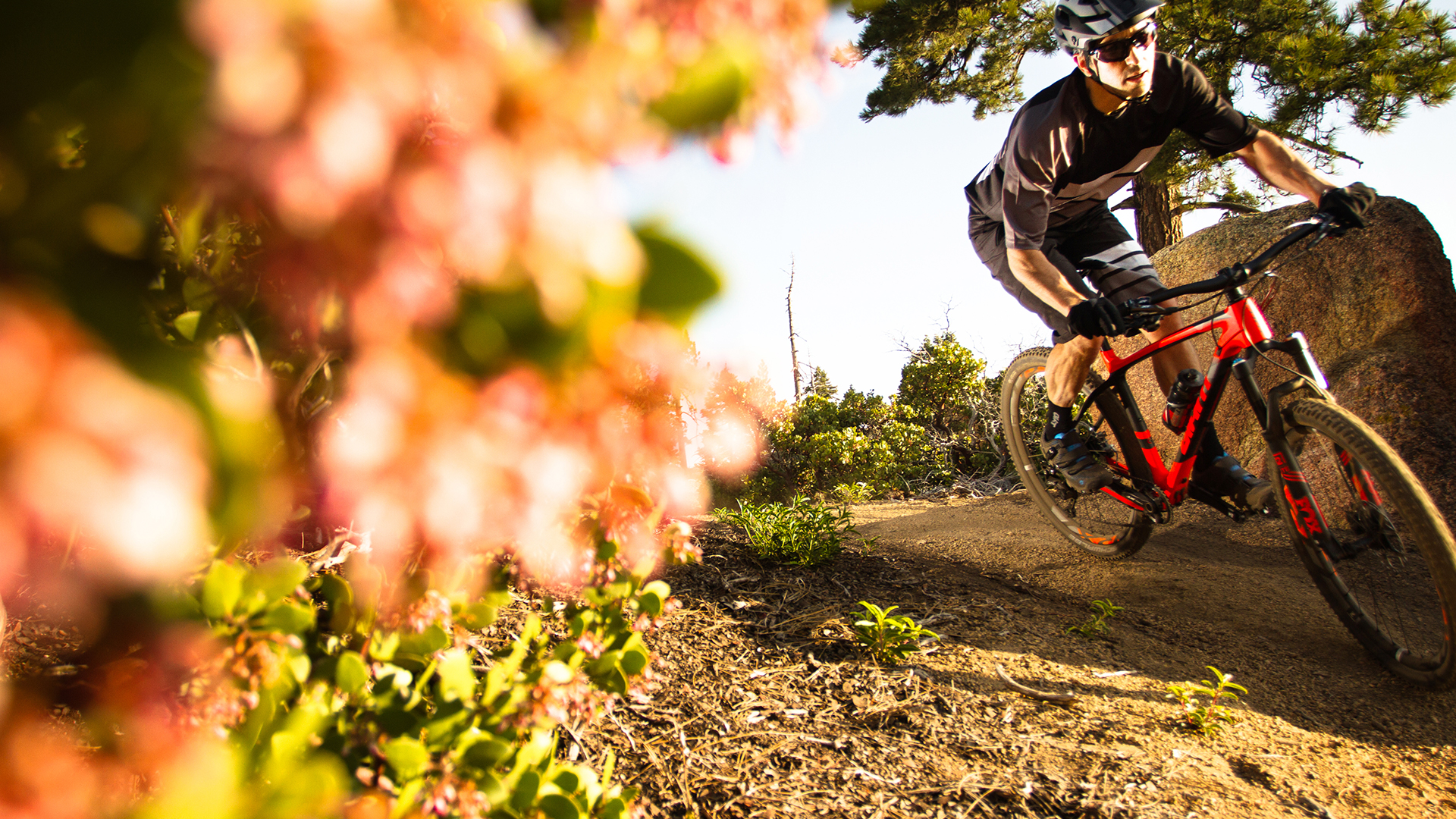 2016 Giant Bicycles, xtc advanced xs