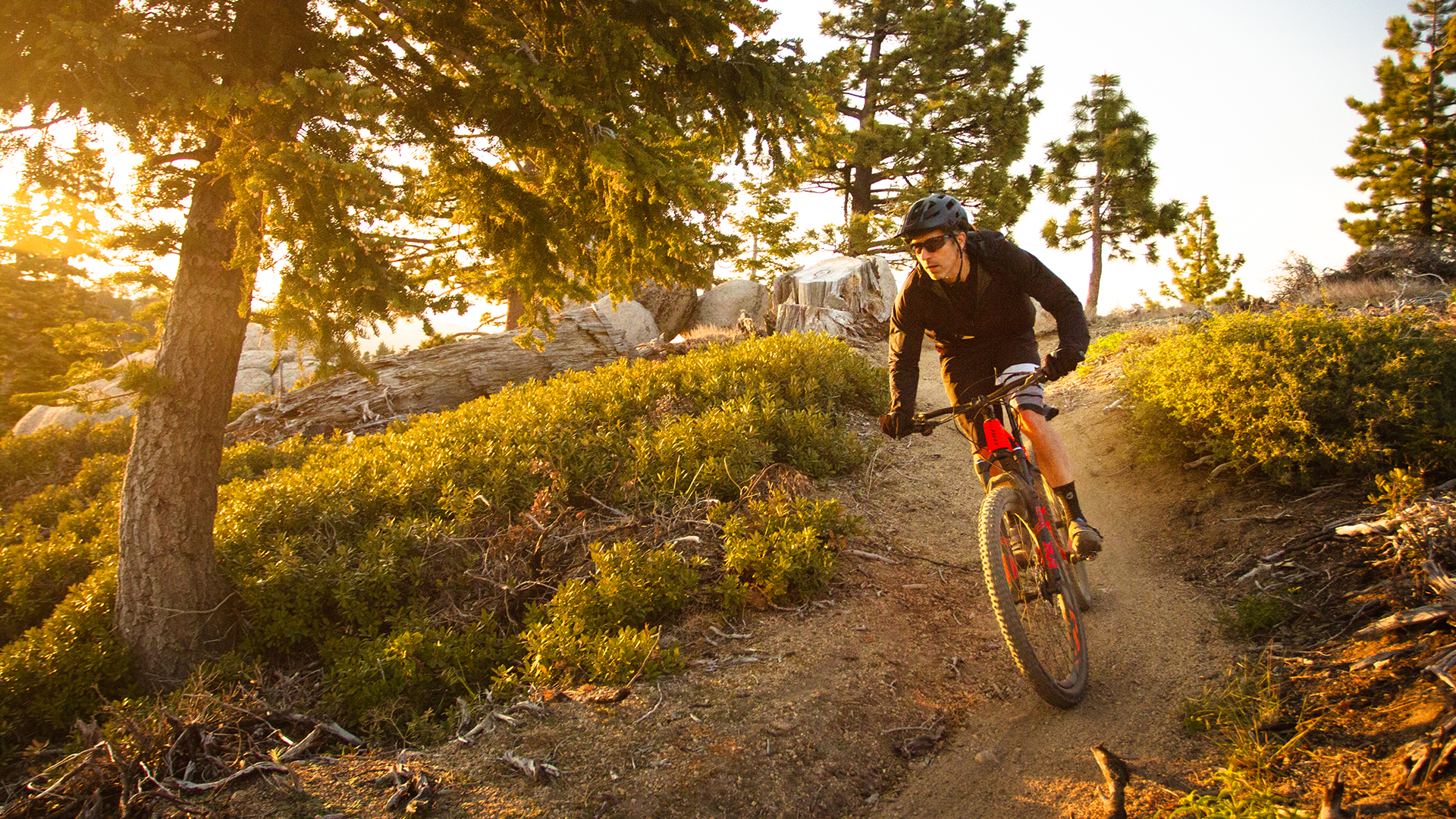 2016 Giant Bicycles, xtc advanced xs