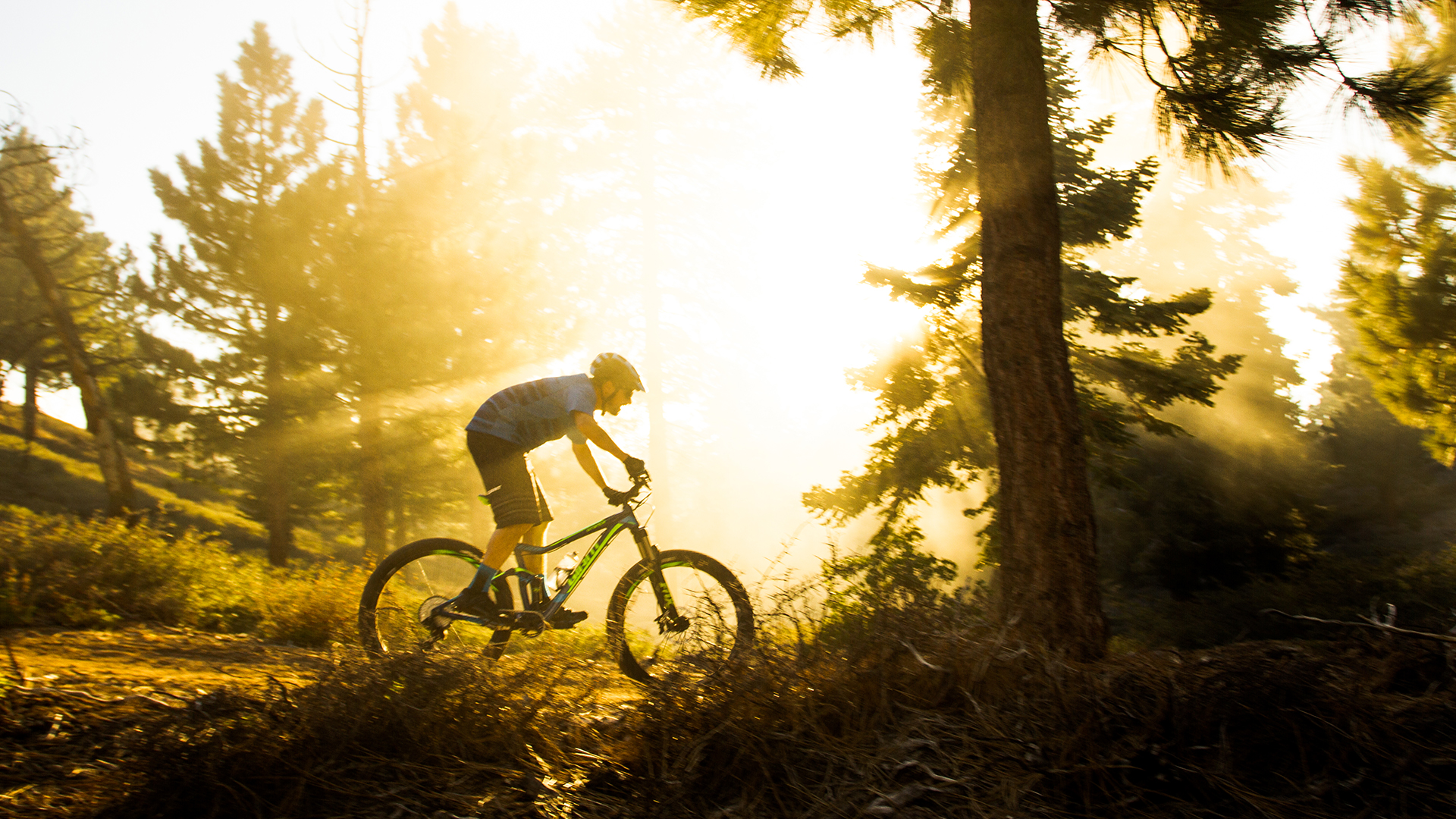 2016 Giant Bicycles, stance adv