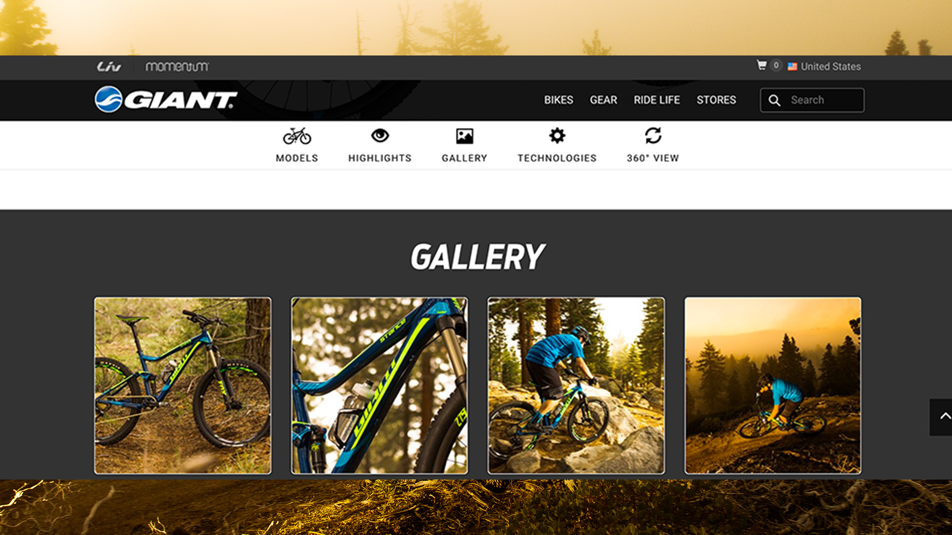 2016 Giant Bicycles, stance adv