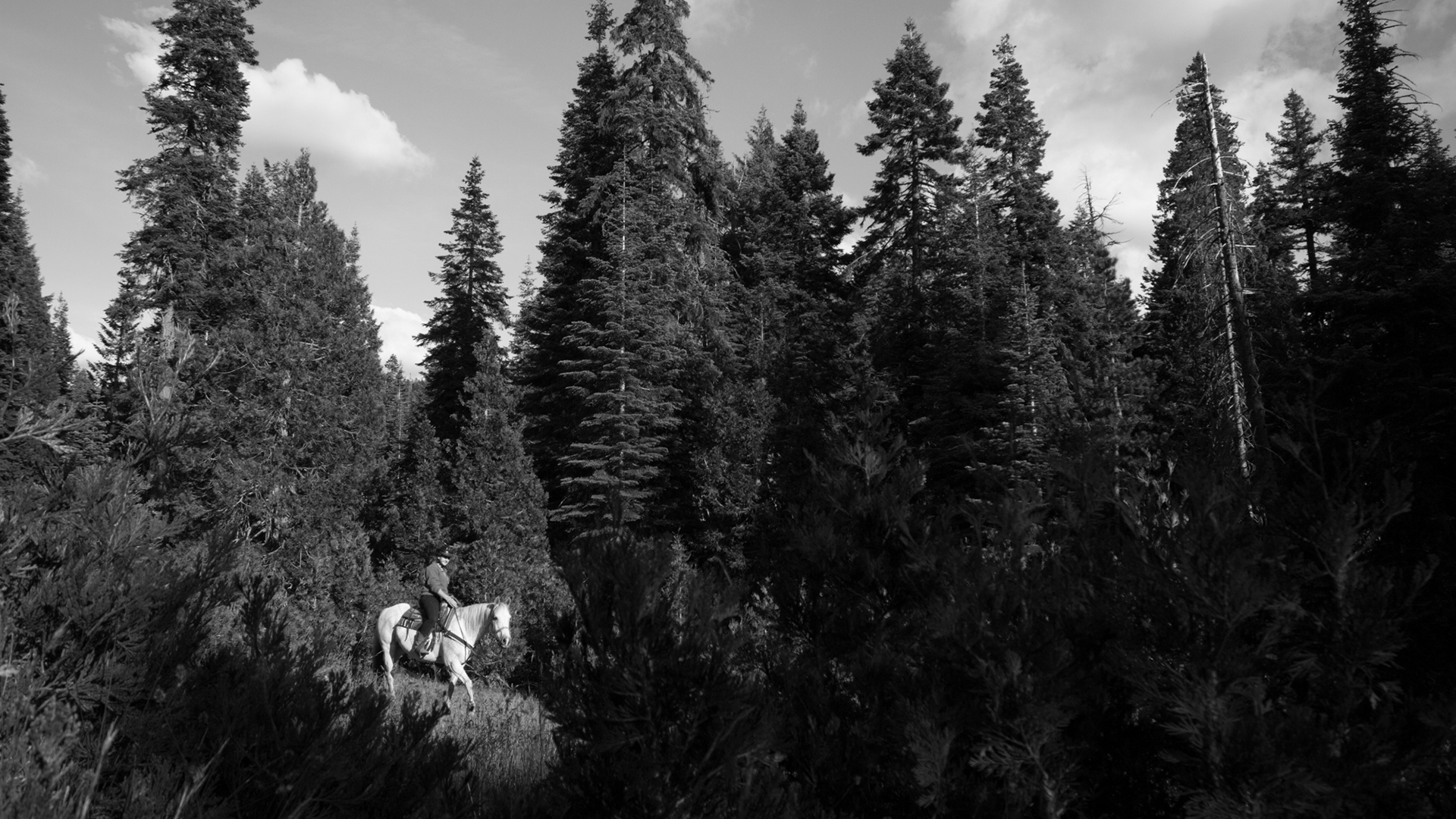 Mount Hermon Kidder Creek, Ranch Camp