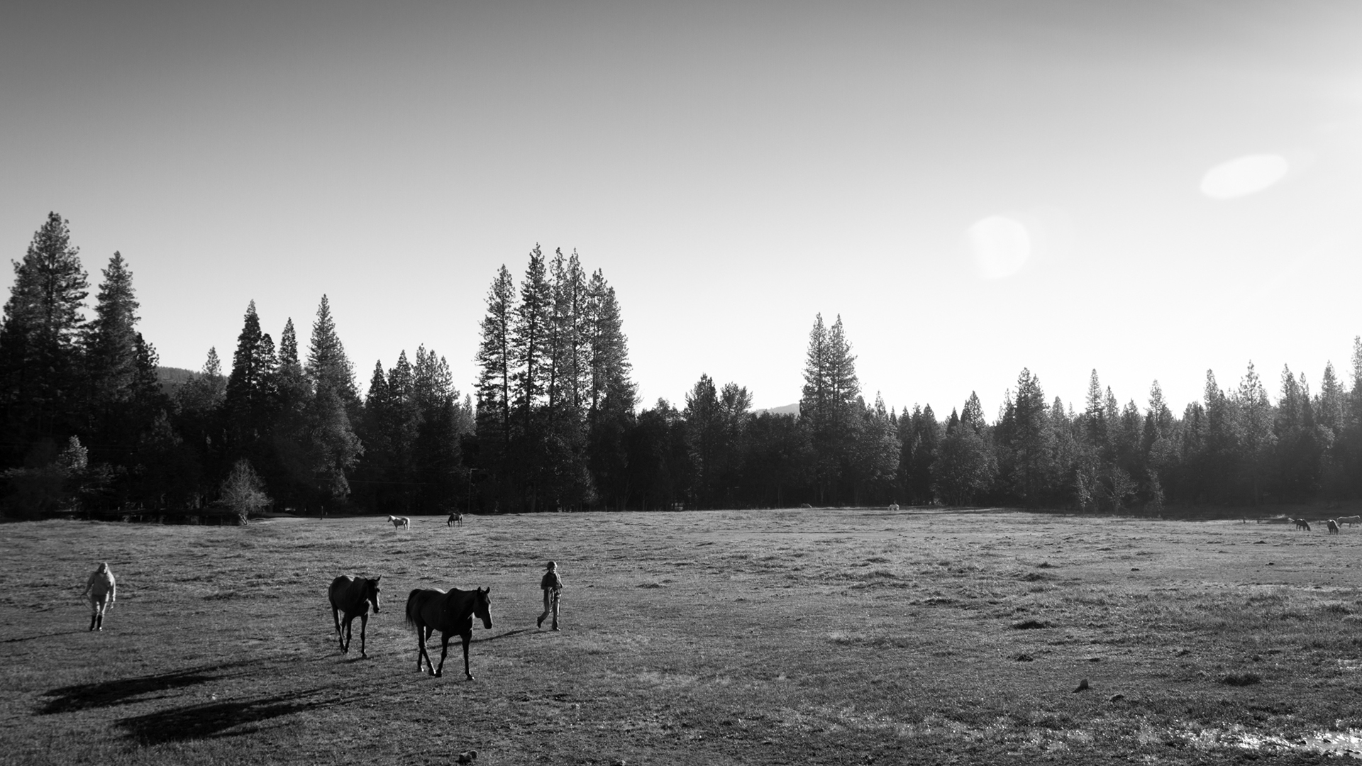 Mount Hermon Kidder Creek, Ranch Camp