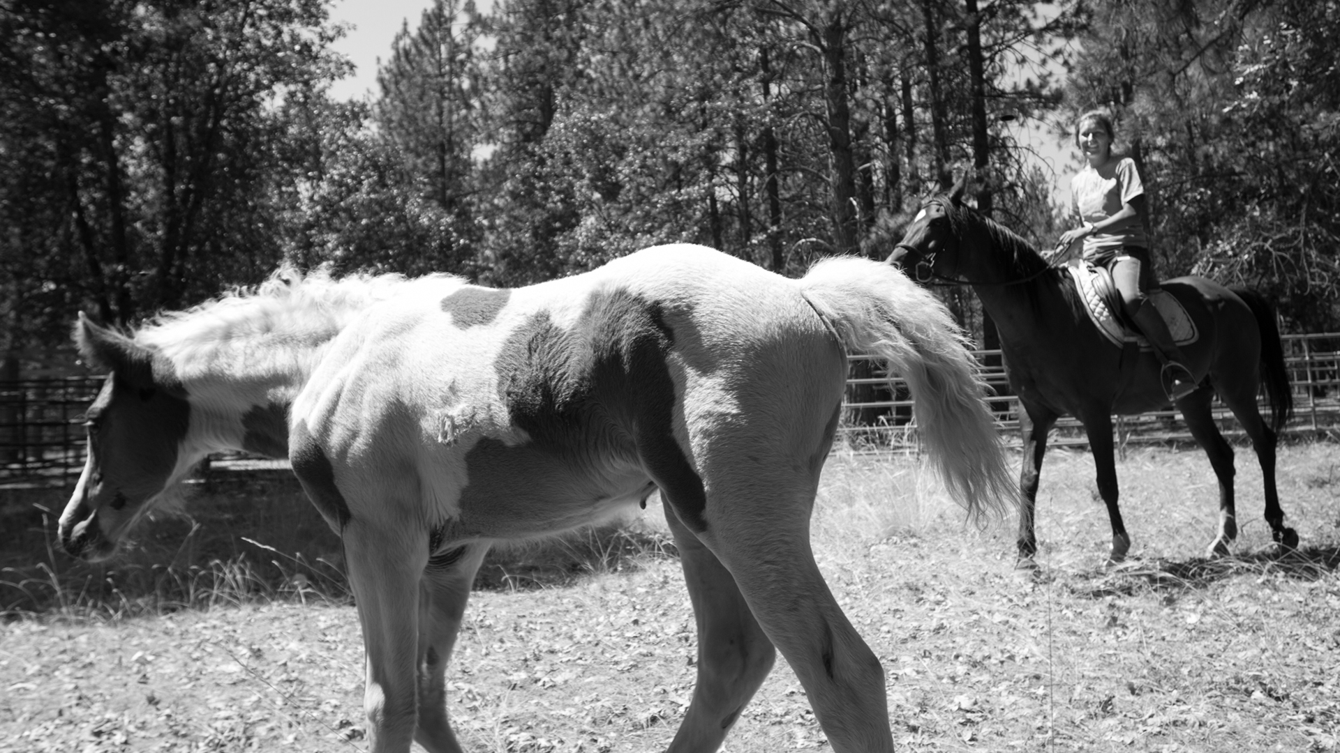 Mount Hermon Kidder Creek, Ranch Camp