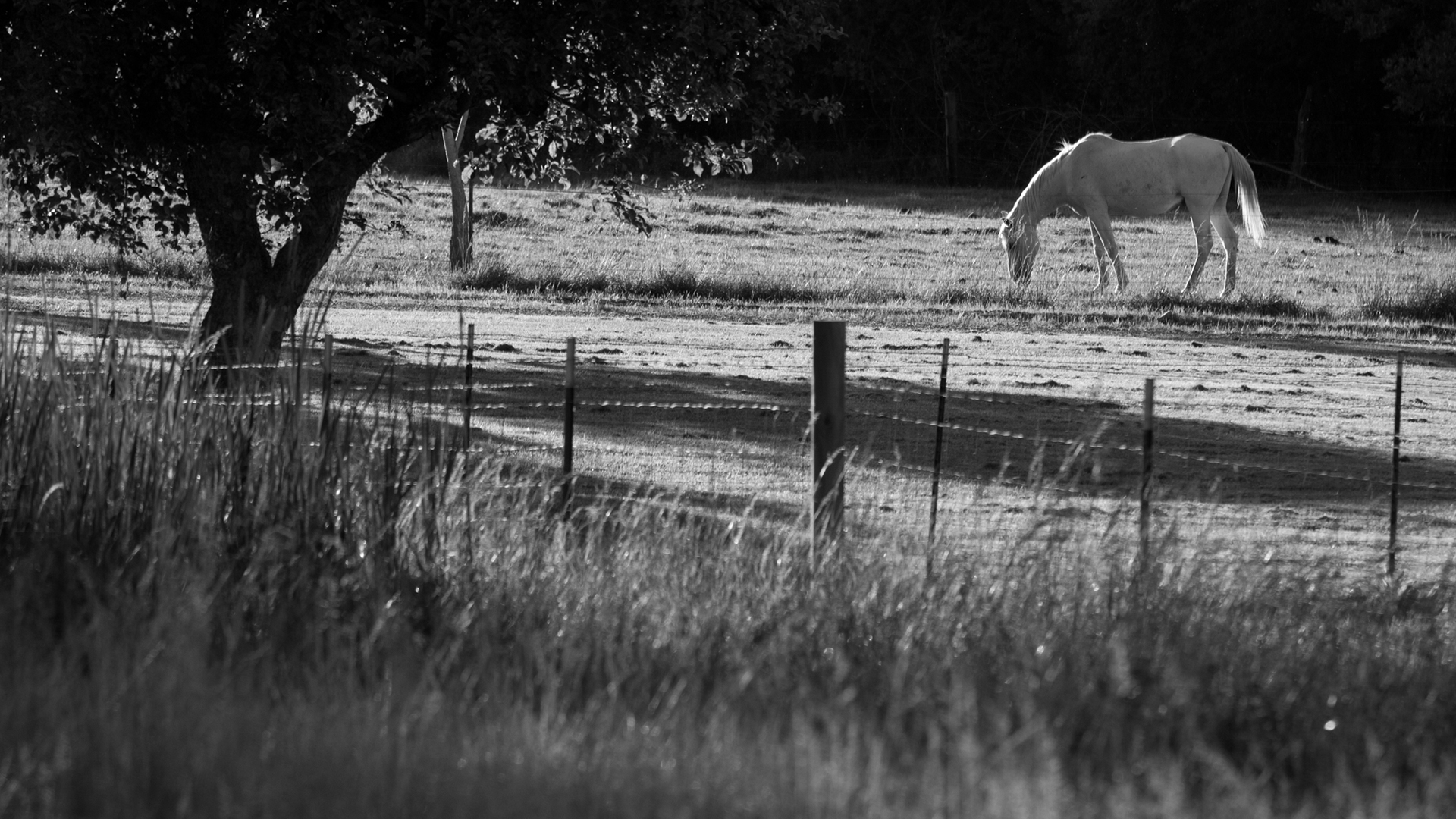 Mount Hermon Kidder Creek, Ranch Camp