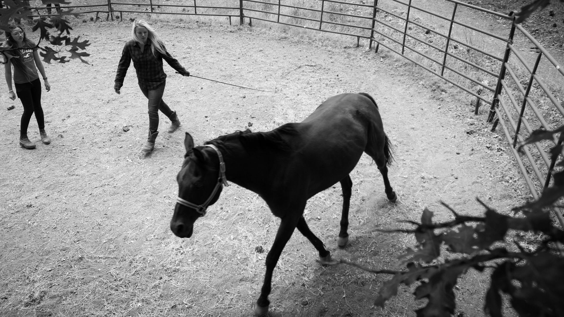 Mount Hermon Kidder Creek, Ranch Camp