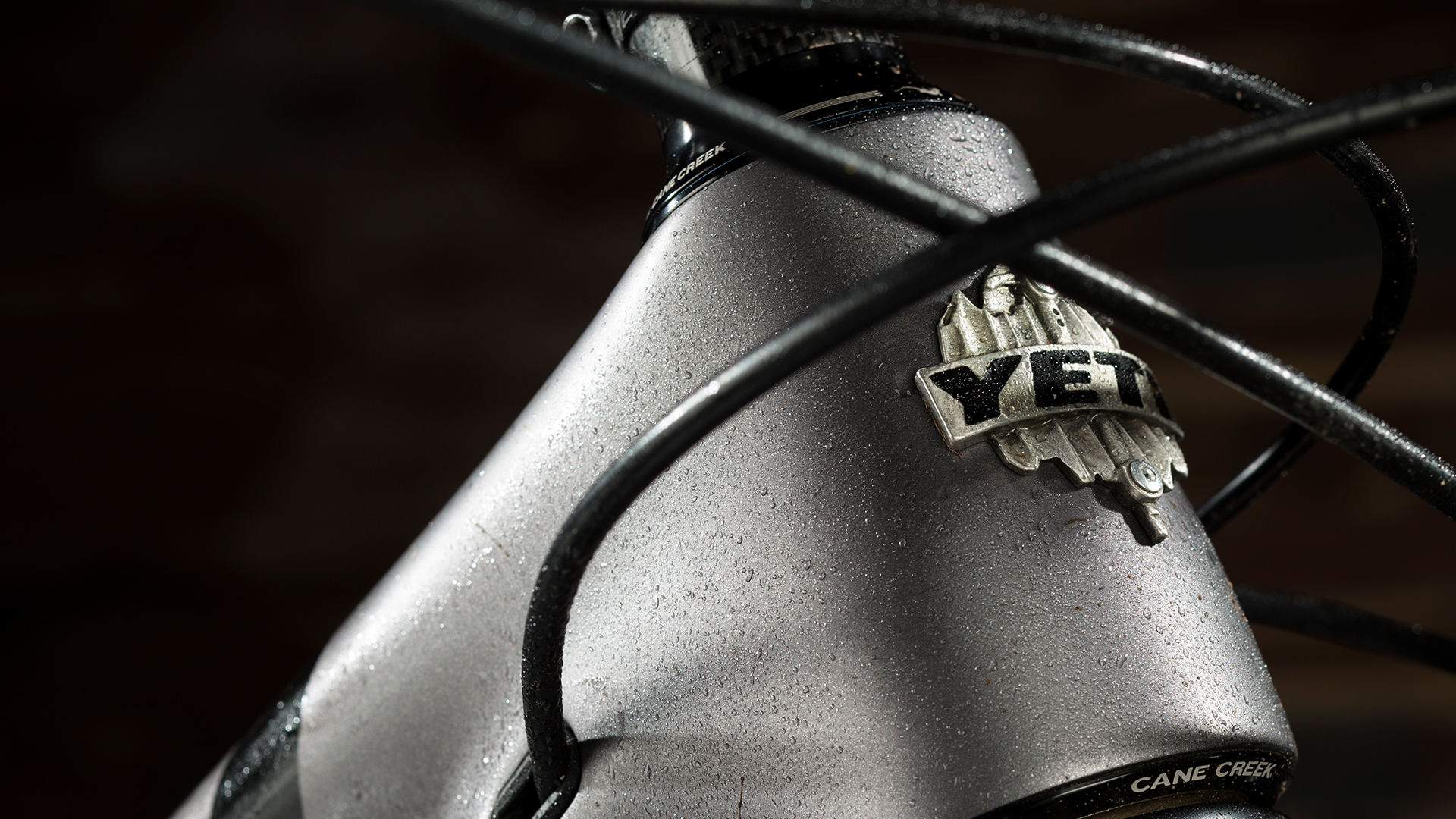 Yeti Cycles SB5.5c for Jenson USA
