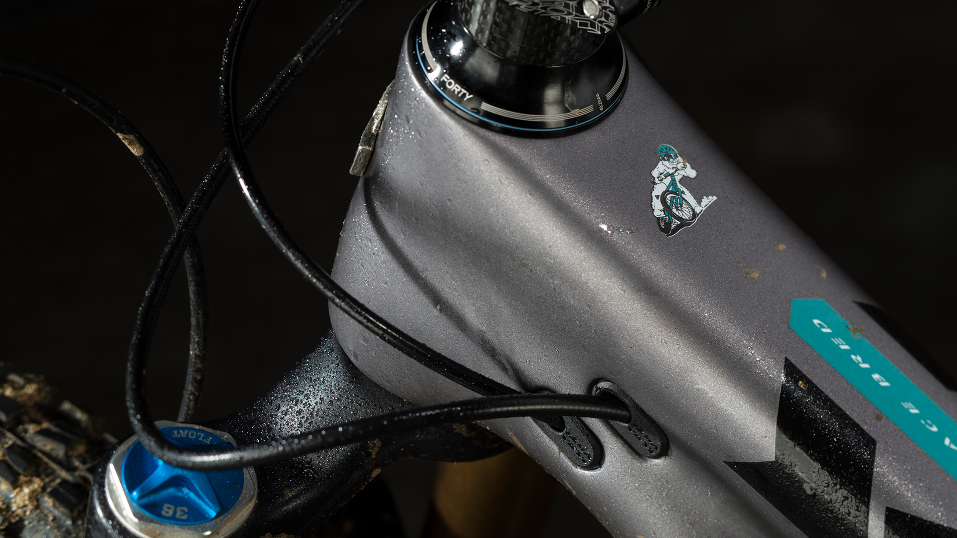 Yeti Cycles SB5.5c for Jenson USA