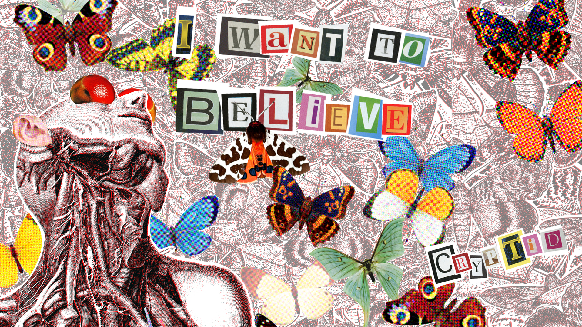 cryptid moth collage taxidermy