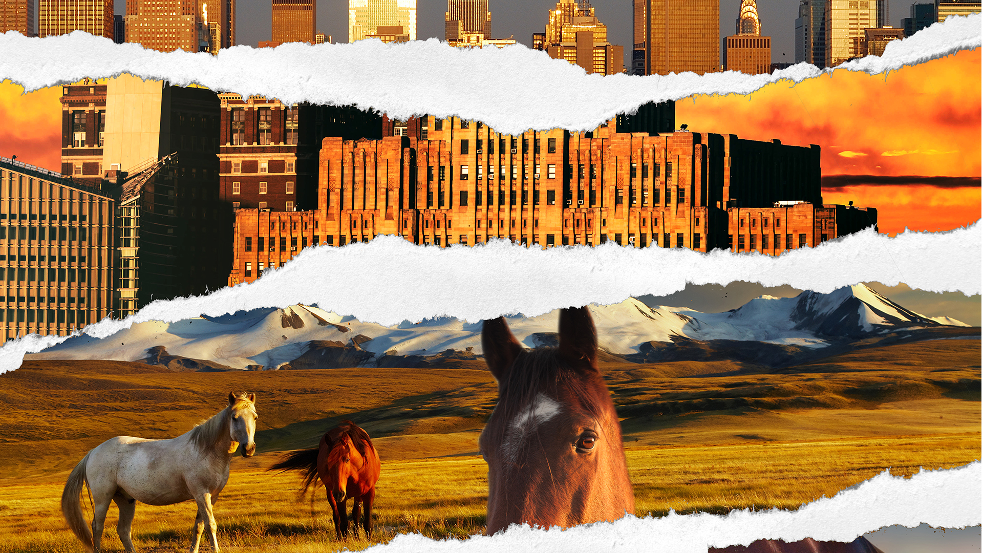  horse and city, ripped paper