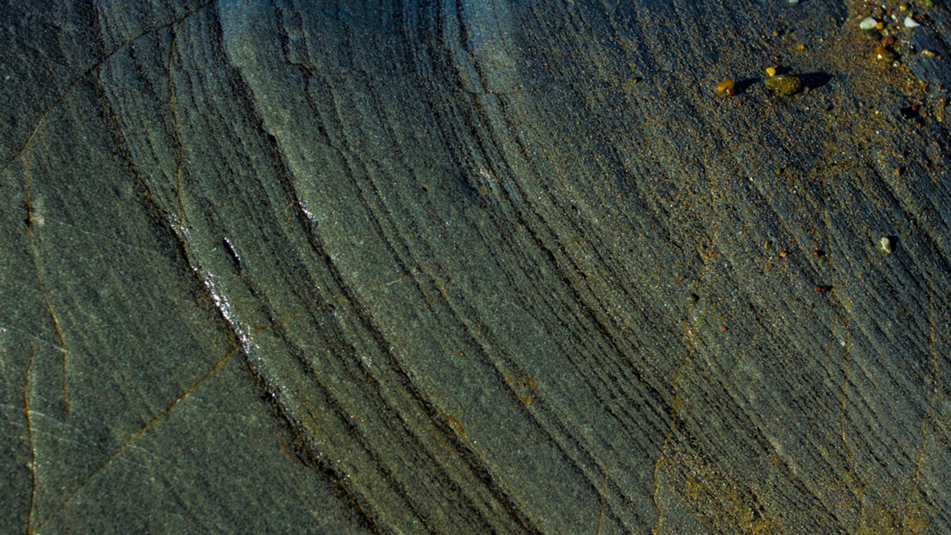 macro of rock strata, catching some late light