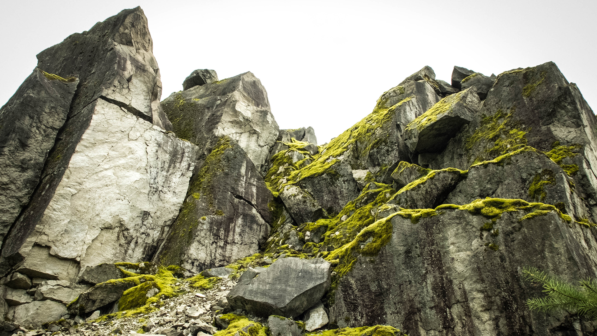 moss covered, stone faces