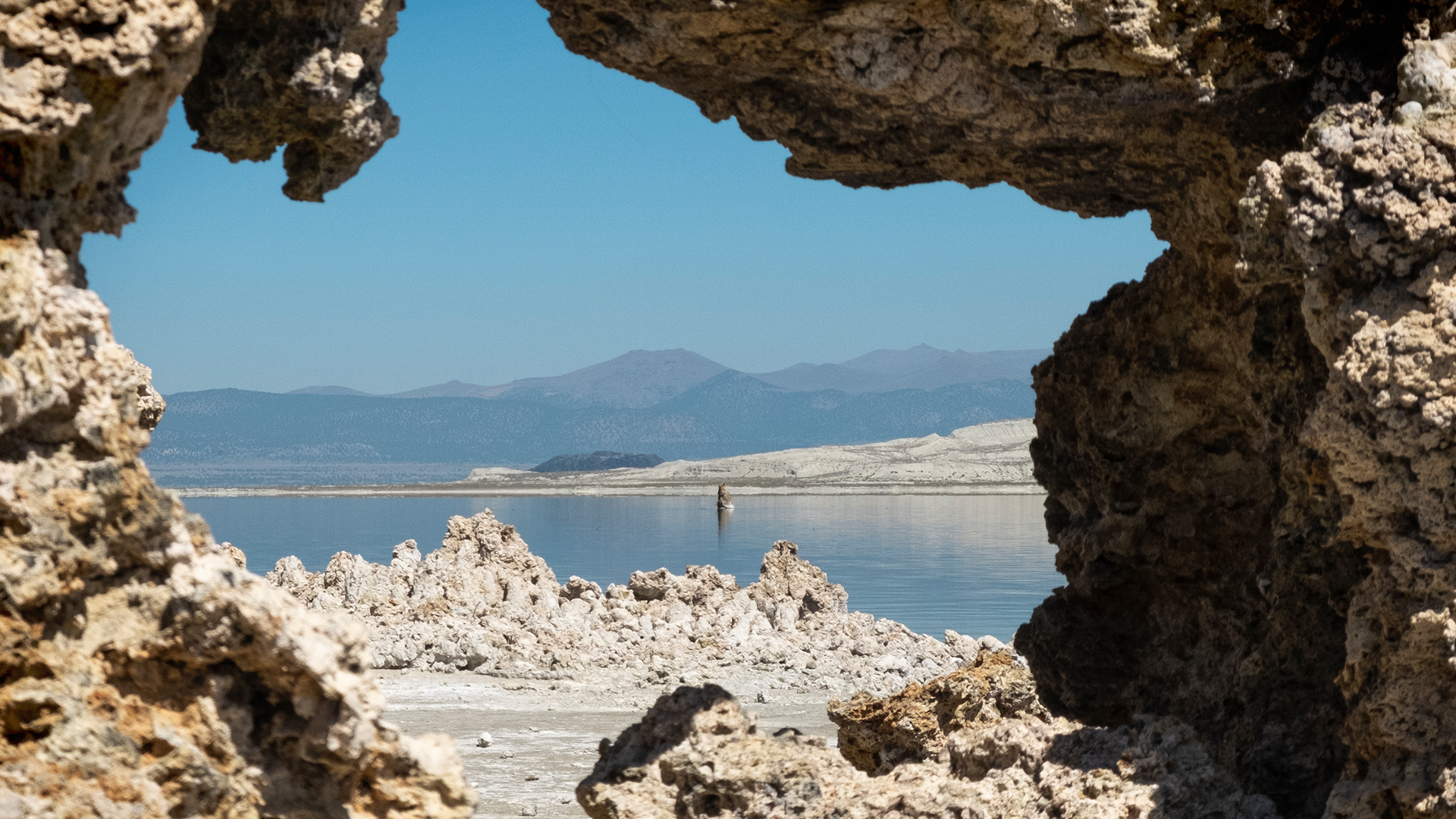 a window of through tuffa 